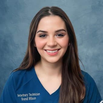 Brandi Wilson Brandi Wilson