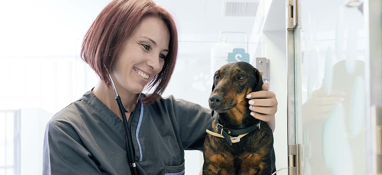 VSEC Thousand Oaks Vet VSEC Thousand Oaks Vet