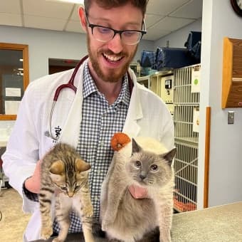 Dr. Matthew Turner Dr. Matthew Turner