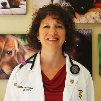 Dr. Wendy ArsenaultDVM, DAVCIM-Cardiology Dr. Wendy ArsenaultDVM, DAVCIM-Cardiology