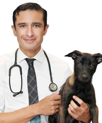 Sebastian MejiaSurgery Sebastian MejiaSurgery