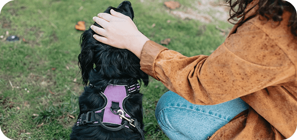 Shop card 5 Shop card 5