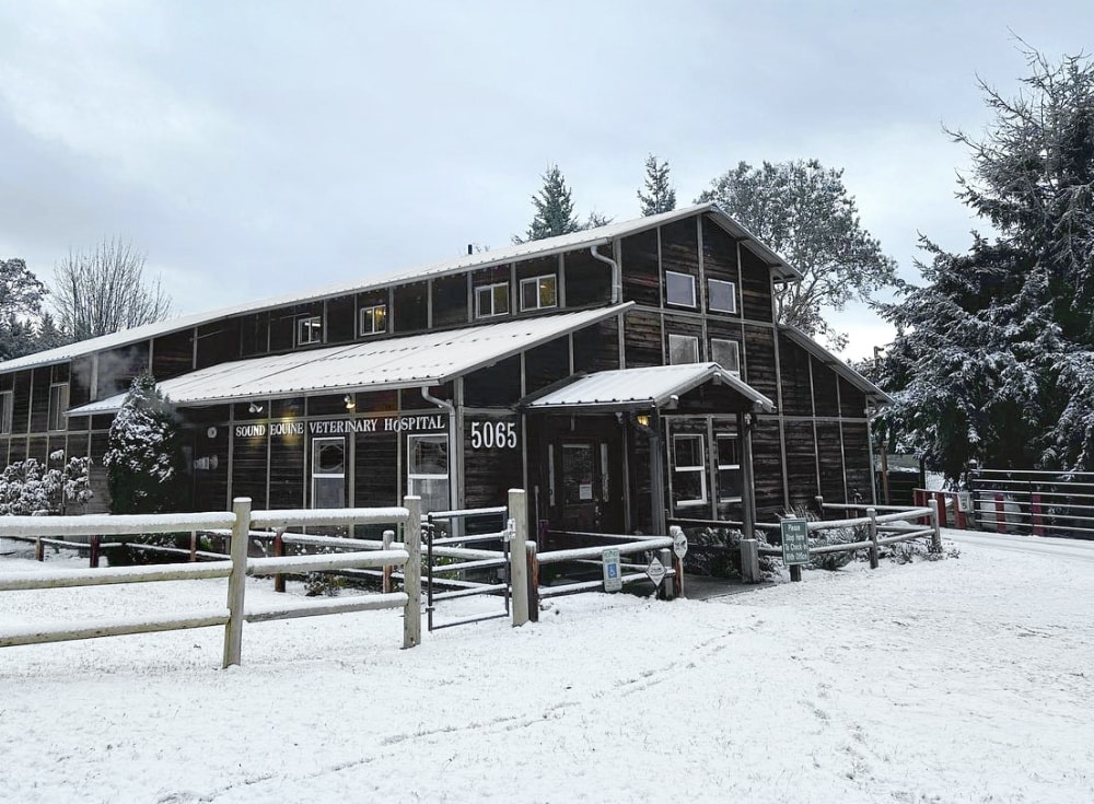 Welcome to Sound Equine Veterinary Hospital Hero Image Welcome to Sound Equine Veterinary Hospital Hero Image