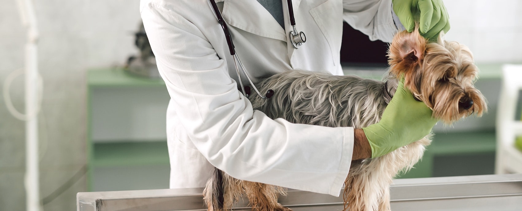 CASE Hospital Hero Image CASE Hospital Hero Image