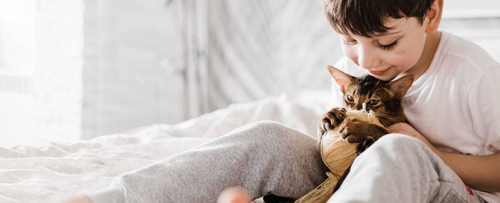 Browns Bridge Animal Hospital Hero Image Browns Bridge Animal Hospital Hero Image