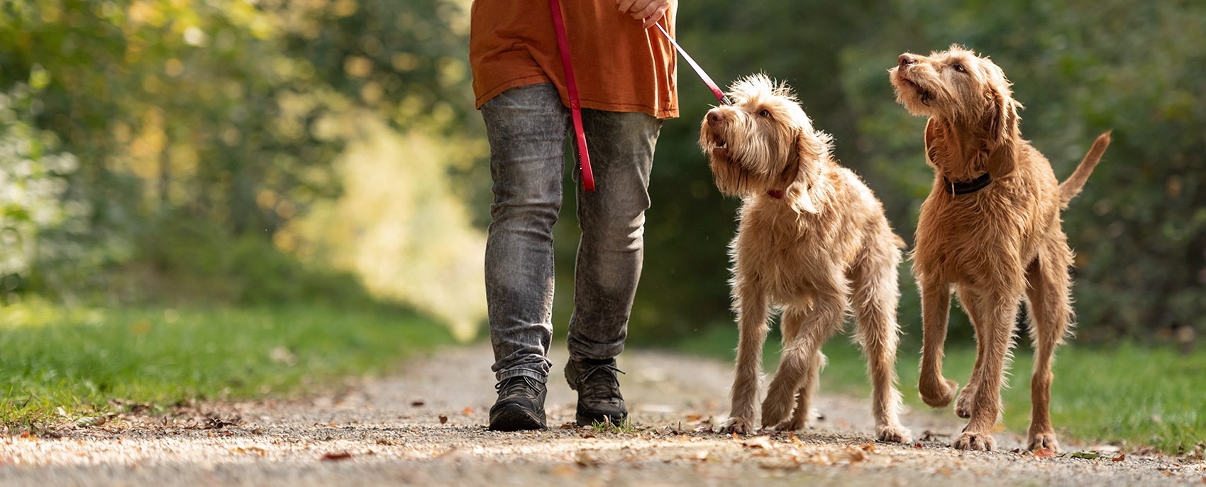 Crestview Animal Hospital & Emergency Hero Image Crestview Animal Hospital & Emergency Hero Image