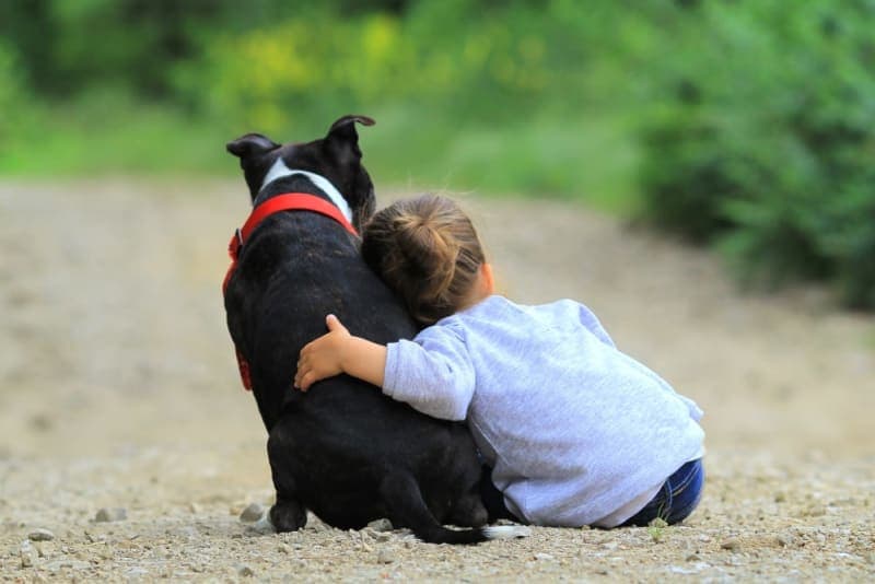 Best Dog Breeds for Kids Best Dog Breeds for Kids